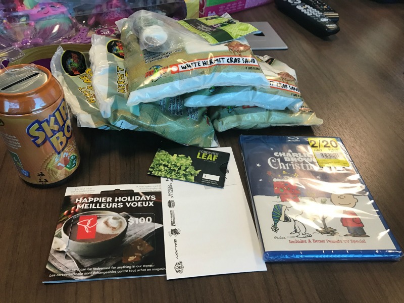 Lindsay Kenney sponsored 2 families for Christmas