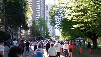 sun run 2015 crowd